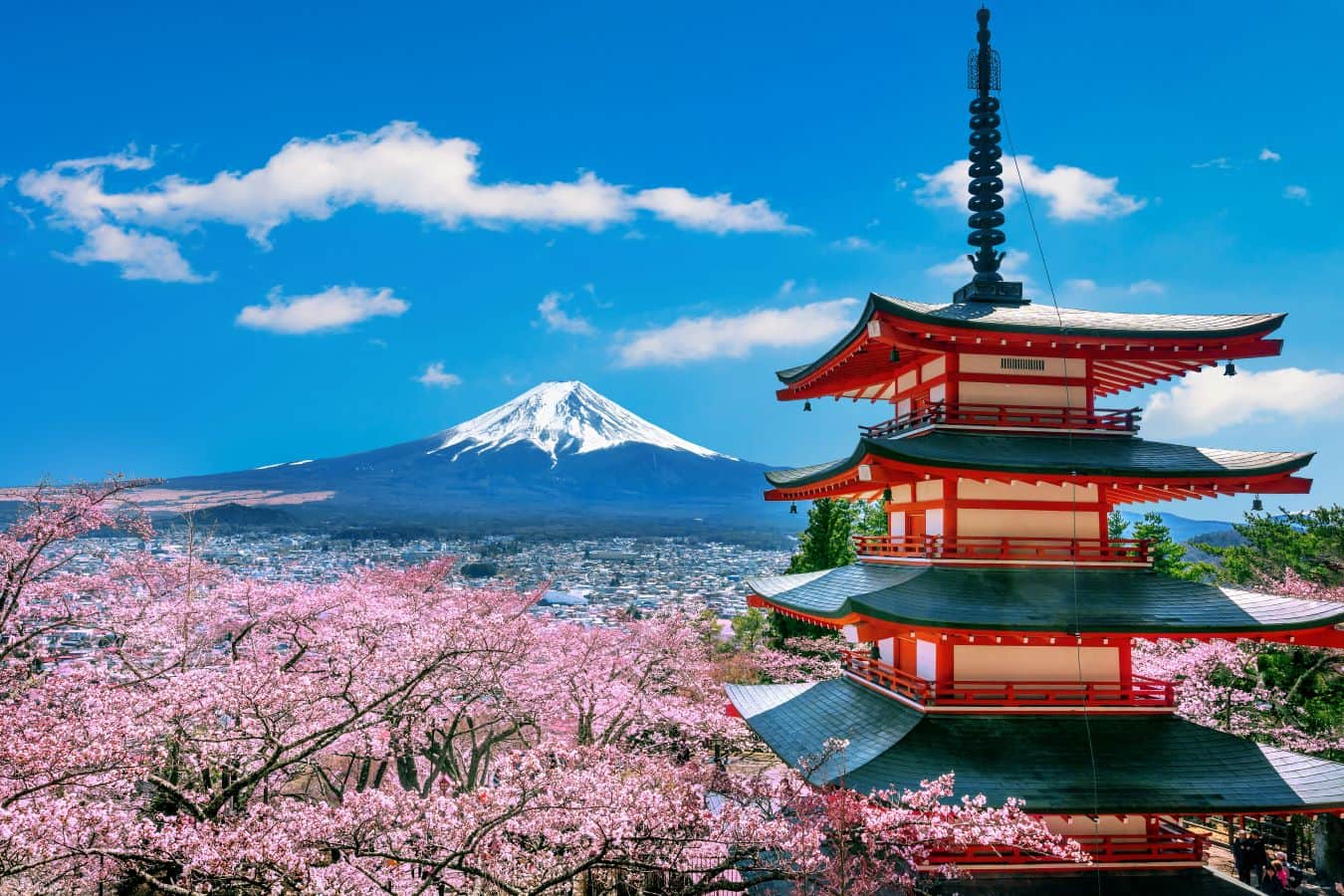 Monte Fuji con cerezos en flor